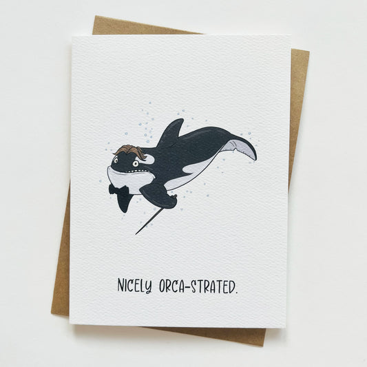 Funny Orca Encouragement/Appreciation Greeting Card