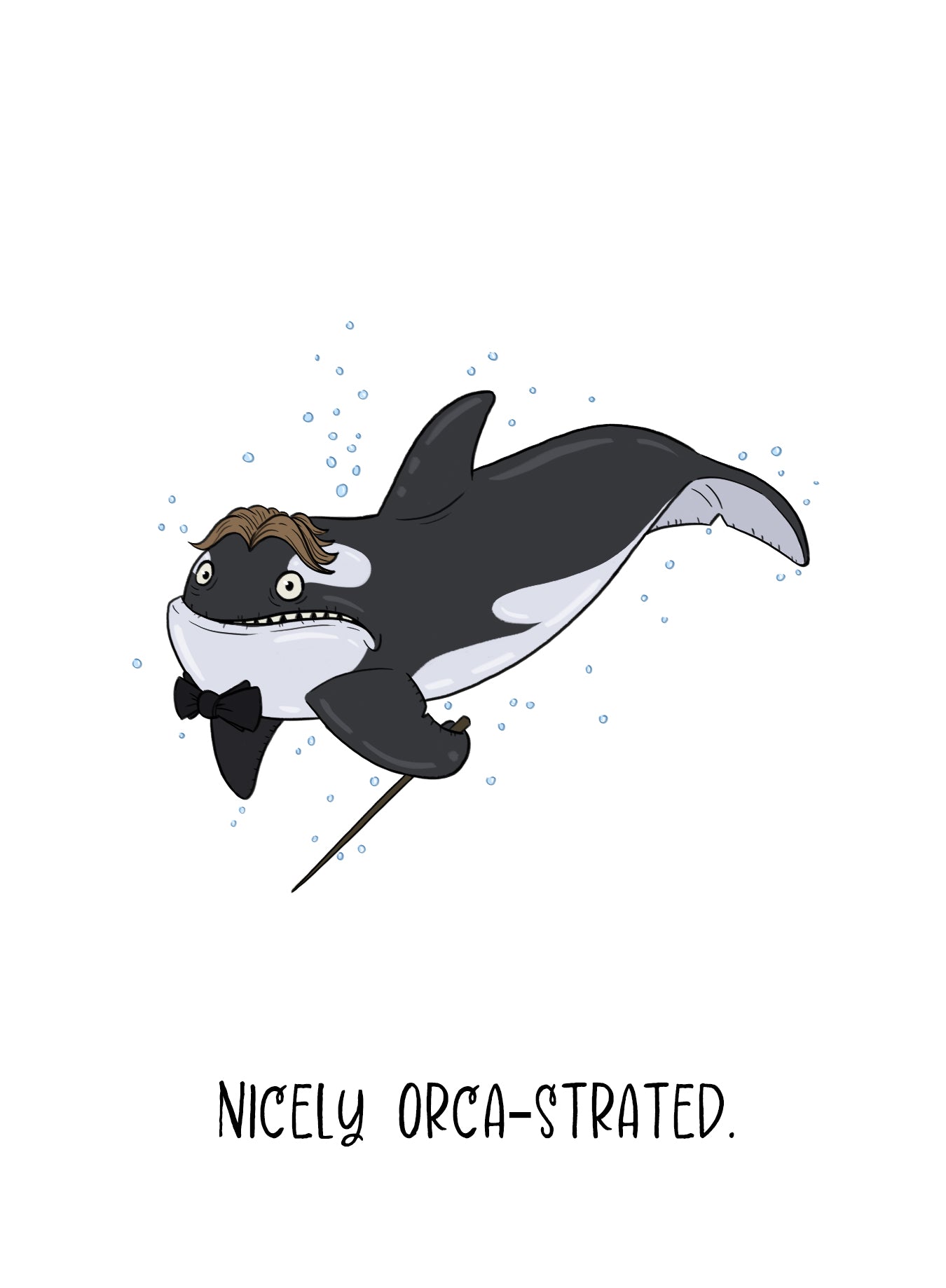 Funny Orca Encouragement/Appreciation Greeting Card